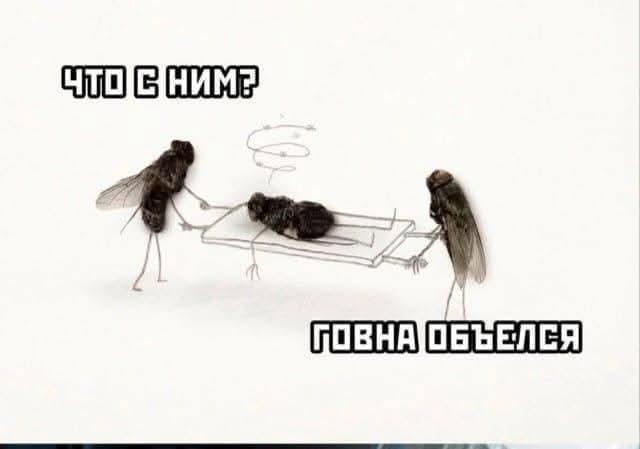 Инферно Мотограф tweet media