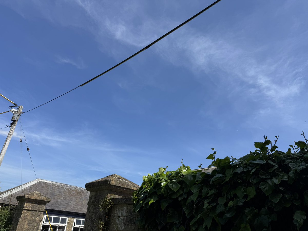 KateAgValuer's tweet photo. Spotted flycatcher is back!! 
Obviously I wasn’t quite quick enough… 🤣 https://t.co/VvA1WZVwou