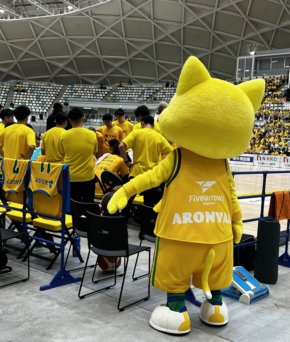 bear_87cat's tweet photo. ザファきっかけで初めてアローズ🏹を観戦した3シーズン前、観客は日曜でも3桁だったと思います。今シーズンは黄色に染まったアリーナで声が枯れるくらい応援できて幸せでした。走りきってくれた選手スタッフのみなさんに感謝です✨ありがとうございます。
来季もアリーナでみんなに会えますように！ https://t.co/tKDjzRfET1