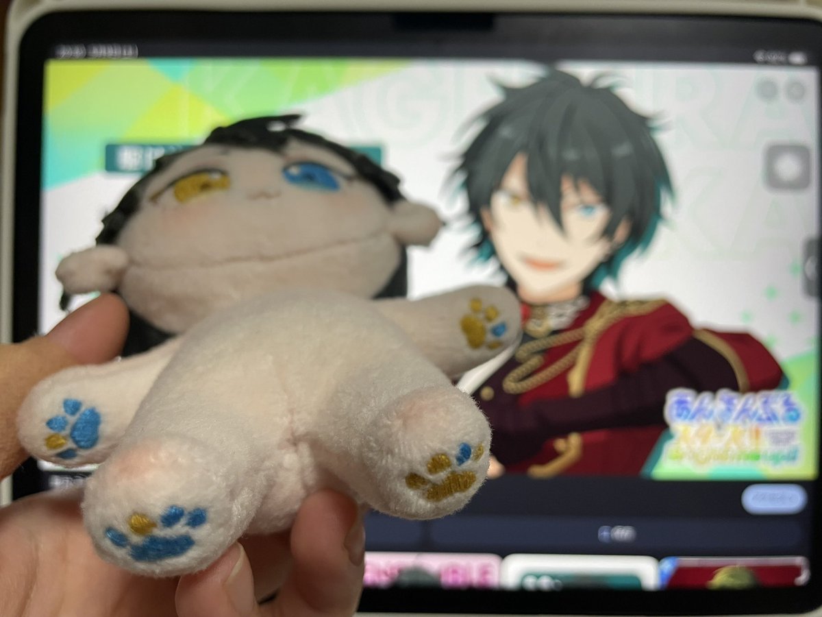ぴよぴっこ🧸ぬいぐるみ系YouTuber🐤 (@piyopicco) / Posts / X