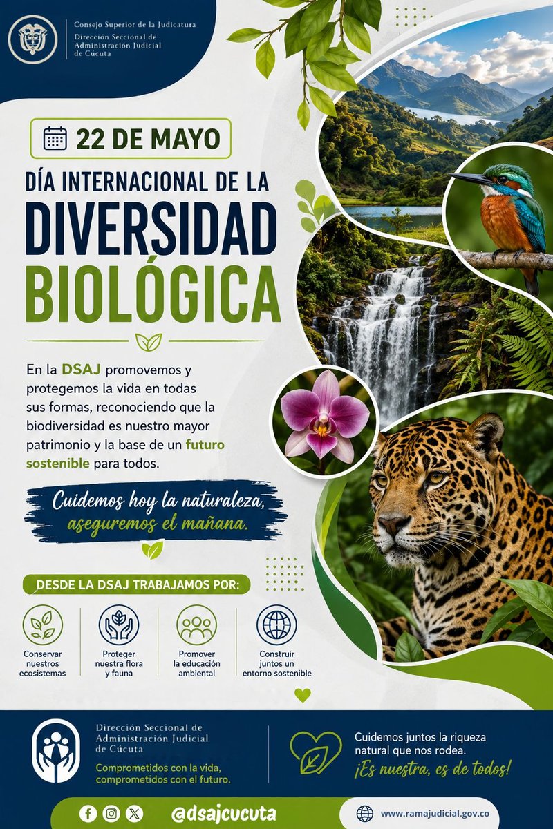 DSAJCUCUTA's tweet photo. Hoy celebramos el Día Internacional de la Biodiversidad.
Cuidar la naturaleza es proteger la vida, el agua, los animales y el futuro de las próximas generaciones. 
Cada acción cuenta: sembrar, reciclar, ahorrar agua y respetar nuestro entorno. 🌱✨

#CuidemosElPlaneta #22DeMayo https://t.co/T4org3otfZ