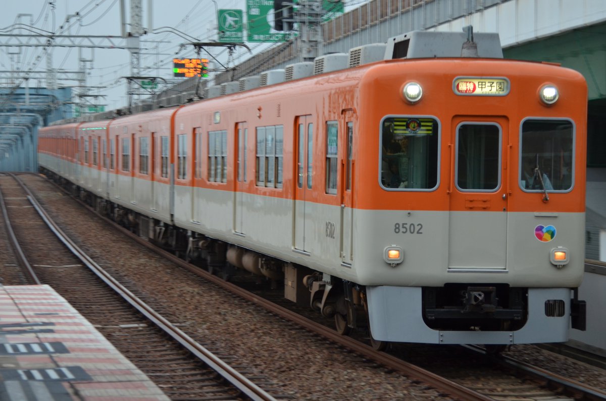 ahiru0362