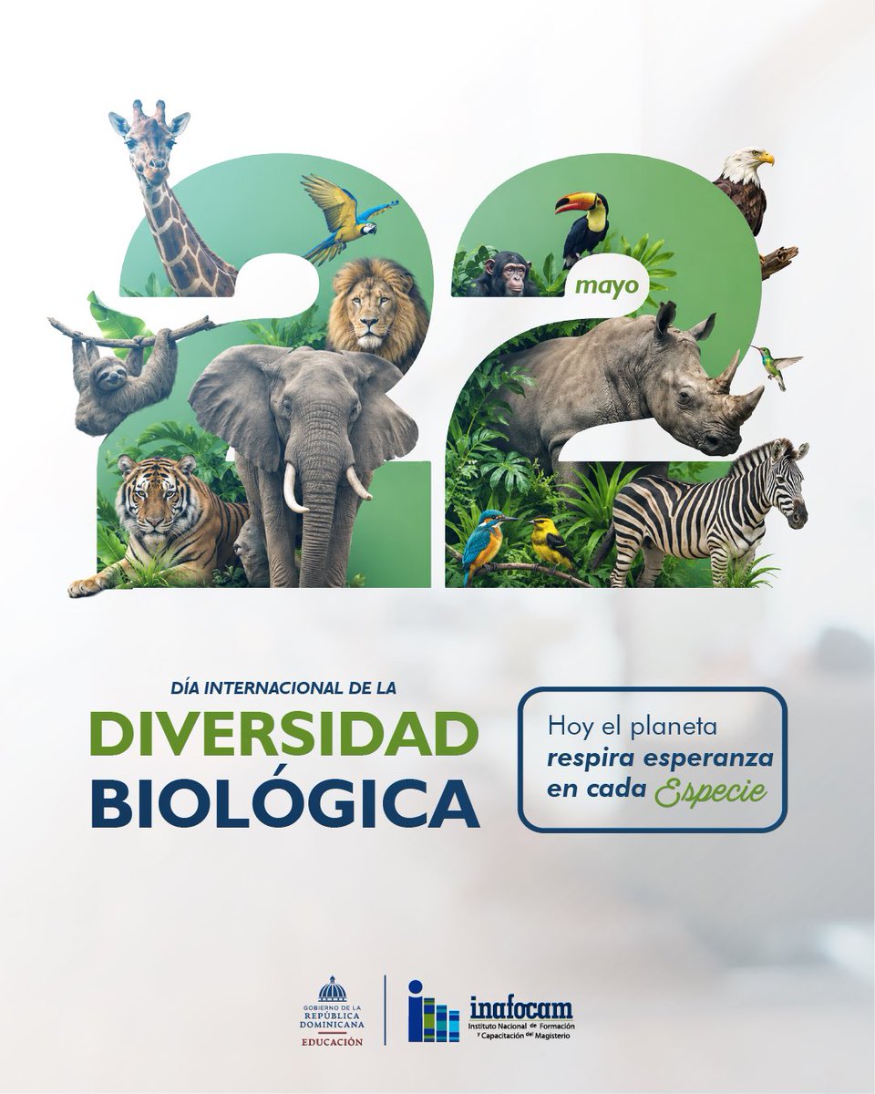 INAFOCAMRD's tweet photo. 🌍 En el Día Internacional de la Diversidad Biológica, recordamos que cada especie es vital para el equilibrio de la vida en nuestro planeta. Cuidar la biodiversidad es proteger nuestro futuro. 🌱🐘

#DiversidadBiológica #INAFOCAM #EducaciónAmbiental https://t.co/LsiU9kVryd