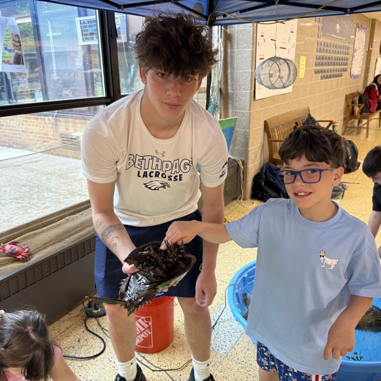 CBS_Bethpage's tweet photo. Our 3rd graders once again visited BHS and the Marine Biology club for our Maritime Festival. Thank you to our BHS students and Mr. Portuese for an exciting day https://t.co/0Xfi5aTzbO