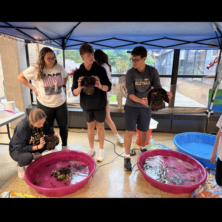 CBS_Bethpage's tweet photo. Our 3rd graders once again visited BHS and the Marine Biology club for our Maritime Festival. Thank you to our BHS students and Mr. Portuese for an exciting day https://t.co/0Xfi5aTzbO