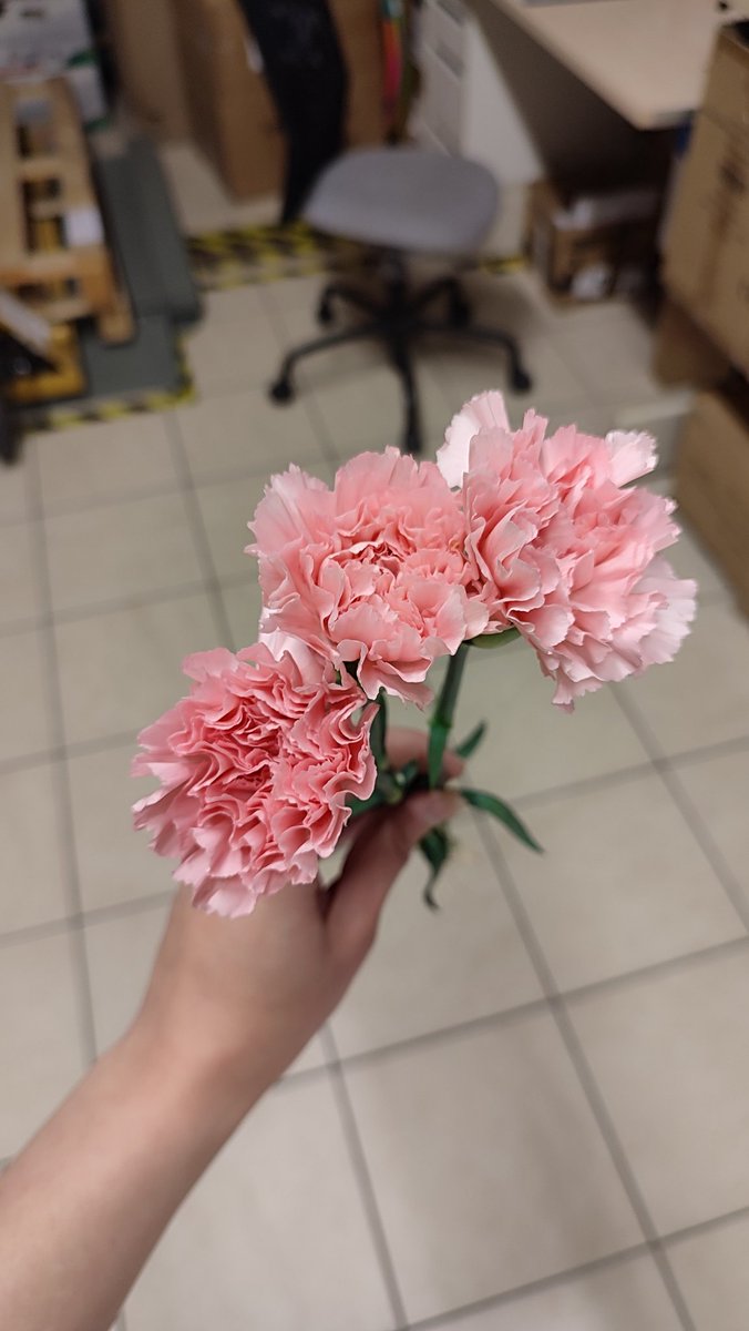 stygiy's tweet photo. Женщина была так благодарна, что я нашла ей настолку, которая была везде распродана, что принесла мне цветочки 🥹 https://t.co/oN5B69TR4p