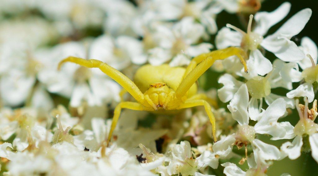 BioDataCentre tweet picture