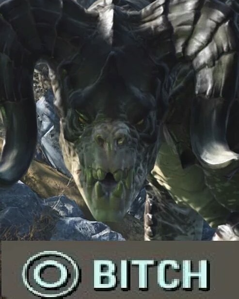 Draco Deathclaw ⭐⭐⭐⭐️ tweet media