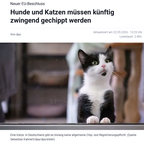 Peter Borbe tweet media