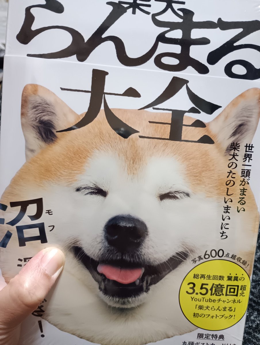 密着］柴犬らんまる24時 (@ranmarufrontier) / Posts / X