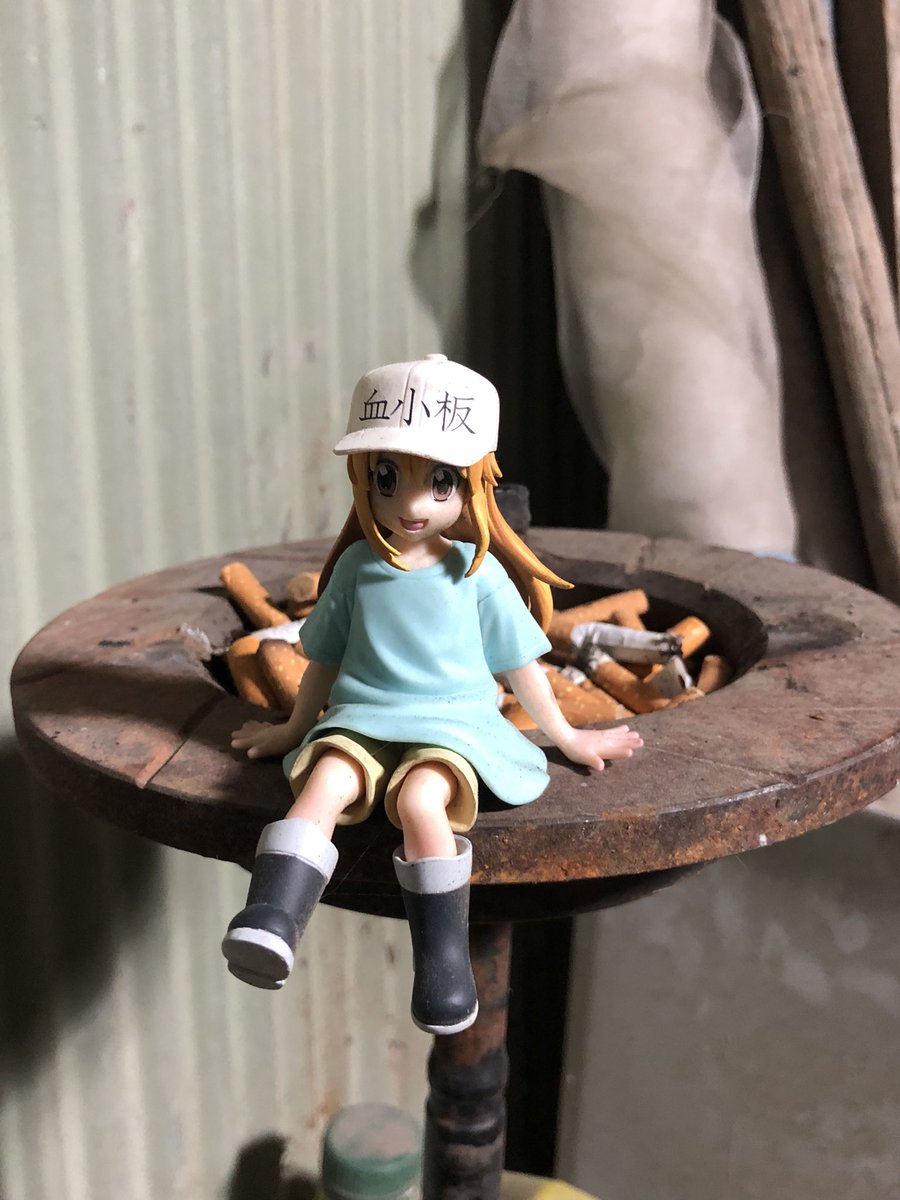 丹沢です。 tweet media