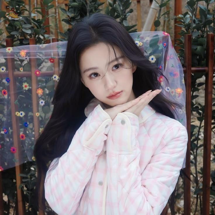 SOC-IE 💛 ˚☽˚.⋆ tweet media