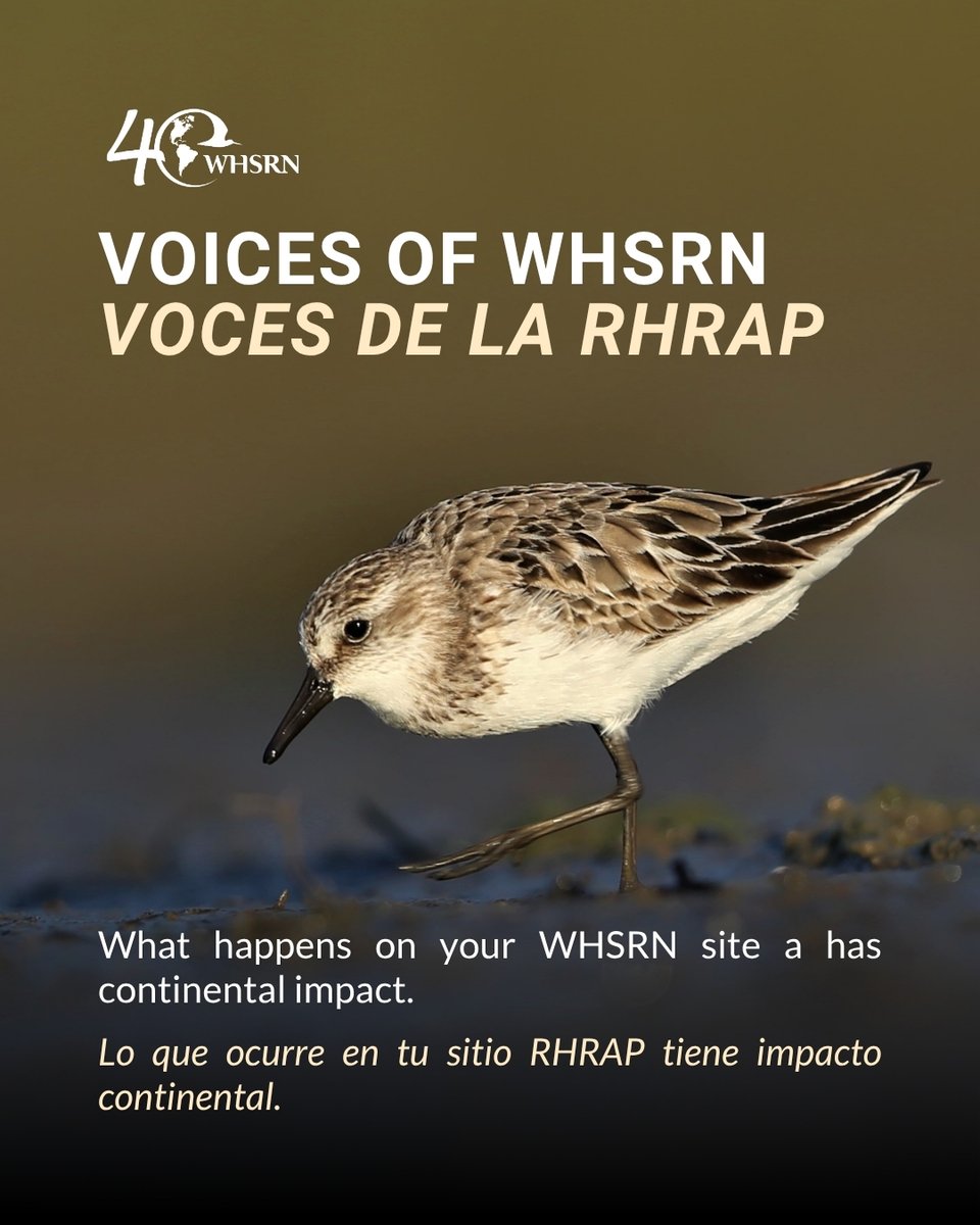 WHSRN tweet media