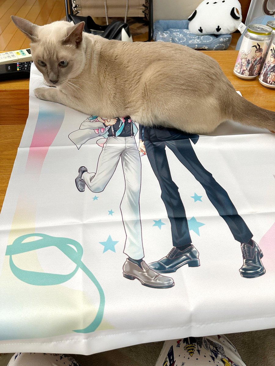 タペストリー まとめ売り 20本 35周年記念展の大阪会場限定タペストリーの見本届きました