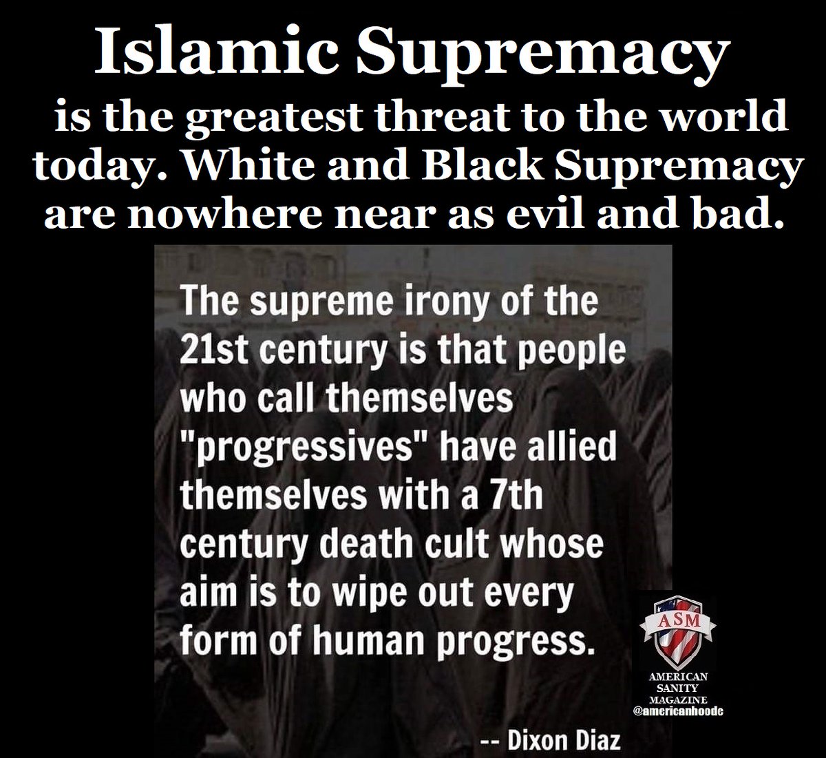 AmericanSanityMagazine tweet media