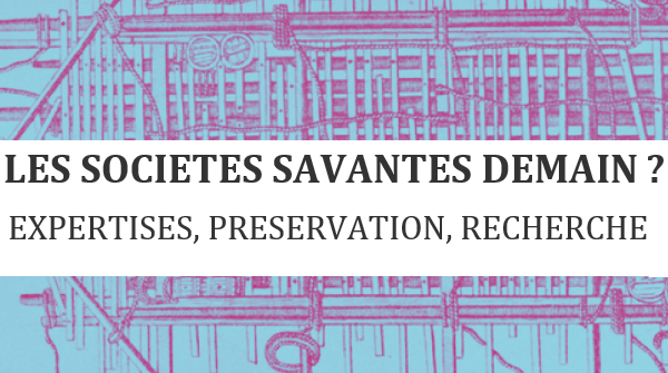 Dépôt légal web BnF tweet media