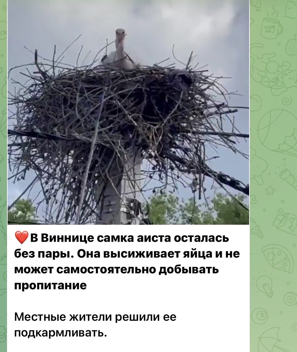 Zak May tweet media