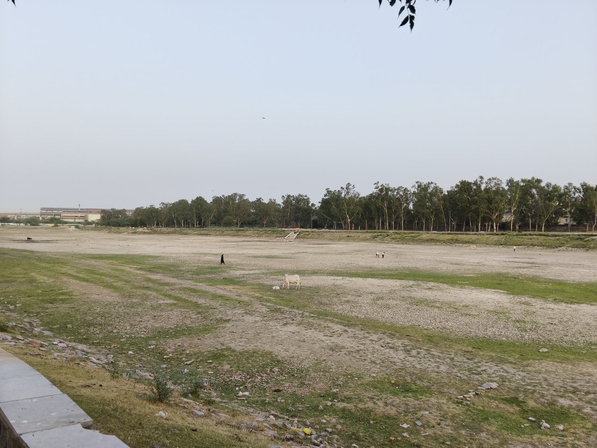 Agrawal2020's tweet photo. @LtGovDelhi @gupta_rekha @TOIIndiaNews @PTI_News 
Govt should form SIT to fix up responsibility of 1. DJB for killing fish &amp; boating facilities in Sanjay Lake, Trilok Puri by stopping Kondli STP water supply 6 months ago, 2. DDA for killing green plants by not watering it. https://t.co/qlmbY9X12Z