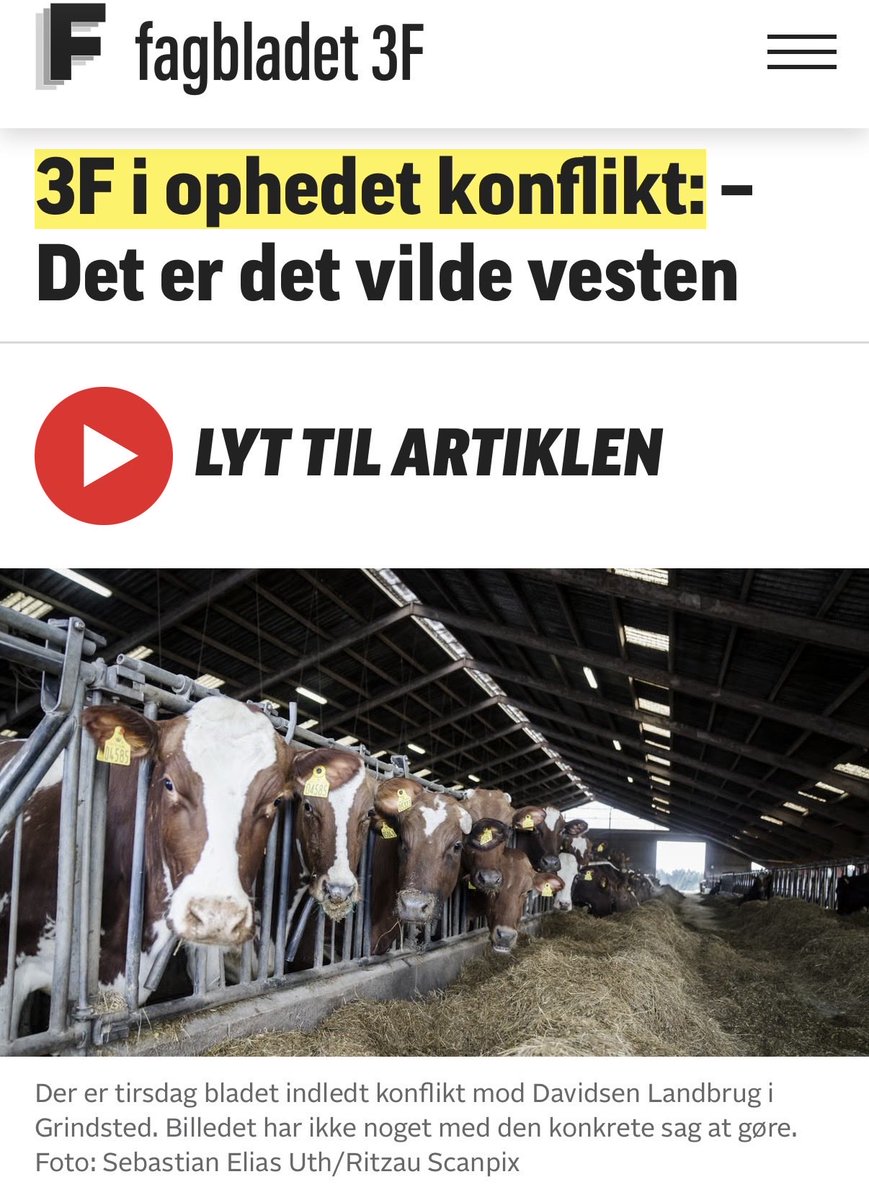Niels Flemming Hansen tweet media