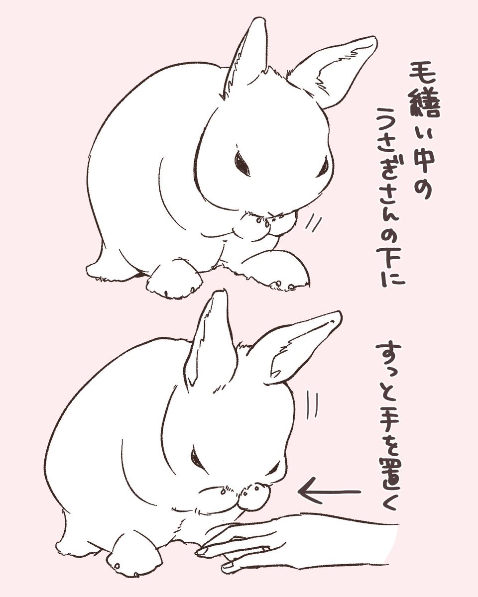 けも tweet media