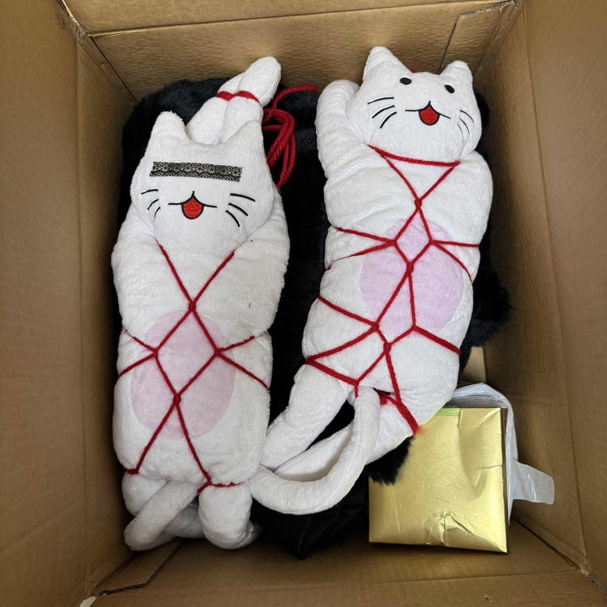 へっきーちゃん (@hekky113) / Posts / X