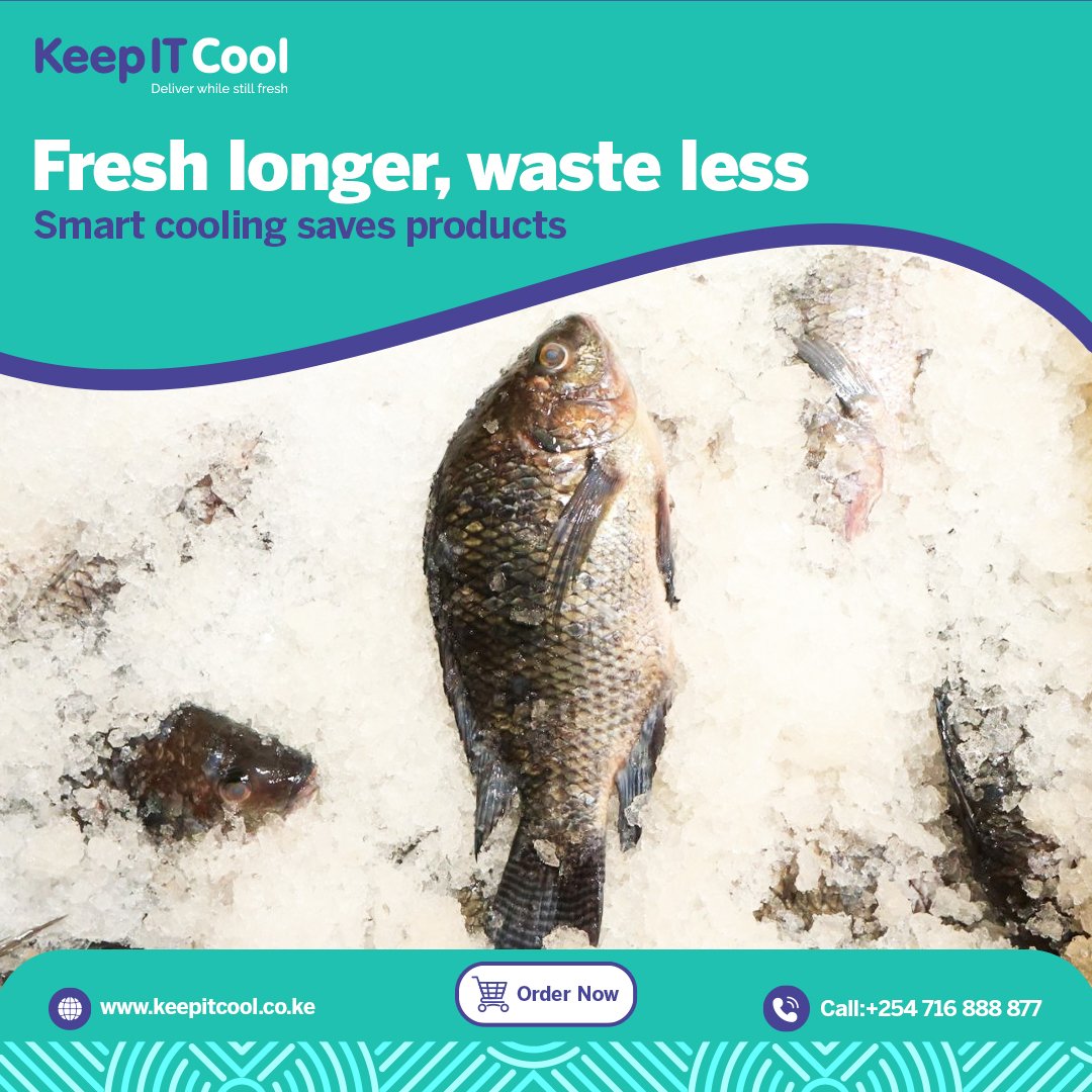 keepitcoolapp's tweet photo. Fresh products start with the right storage. ❄️
Grab your freezer and keep freshness locked in.
#KeepItCool #FreshnessFirst #CoolingTechnology #ReduceWaste #QualityYouCanTaste https://t.co/s03j8uRXju