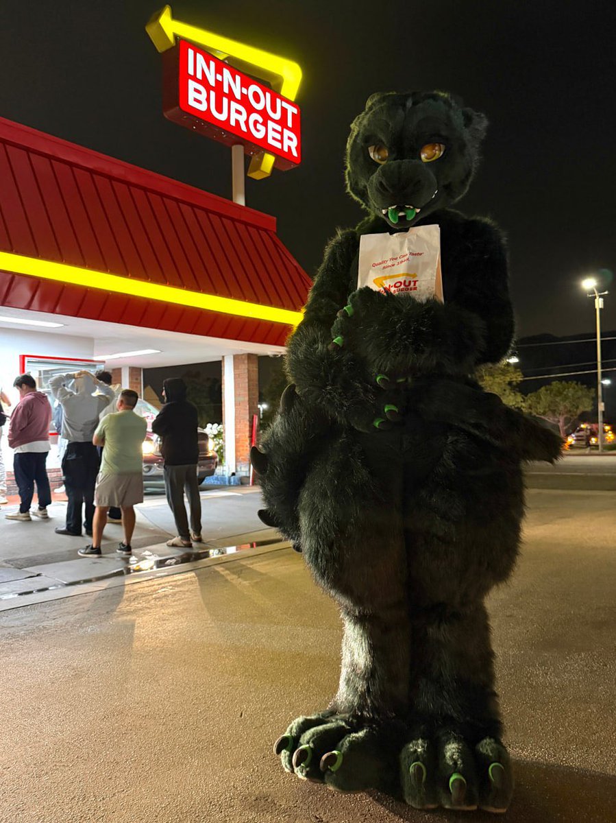 Sigraenn the floofderg tweet media