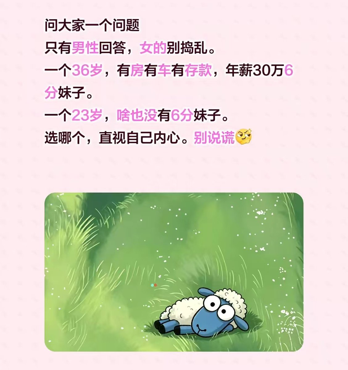 TingHu♪ tweet media