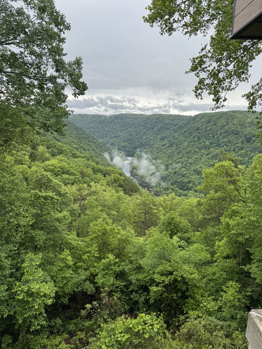 msudawg02's tweet photo. Cool and rainy day at the New River Gorge, West Virginia @spann https://t.co/EoU1KPuqcj