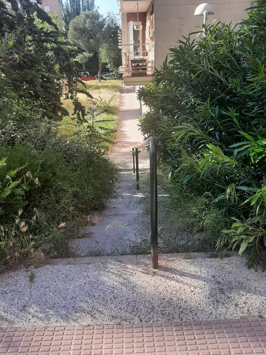 AVLaUnion's tweet photo. Así está el acceso al parque de Santa Adela desde el paseo #Hortaleza
Solicitamos poda respetuosa de la zona verde y limpieza de escaleras para facilitar acceso al parque al vecindario 
@JMDHortaleza @MADRID @Lineamadrid @AvisosMadrid @AvisosLMadrid @BomberosMad https://t.co/yerGMI4OZf