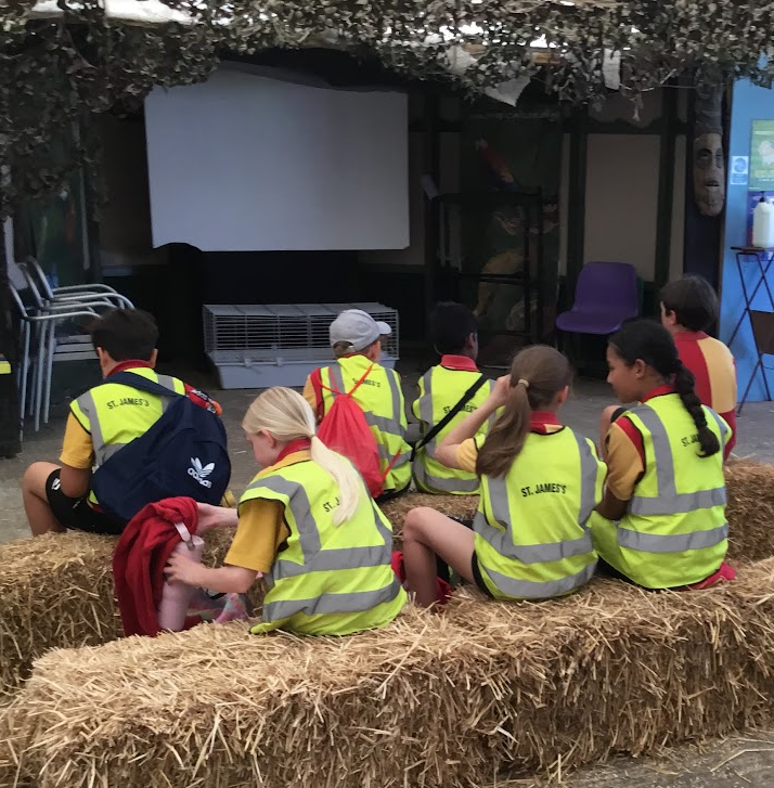 StJamesCPS's tweet photo. A fun week for Year 6's with trips to Bushy Park for den building and at Hounslow Urban Farm feeding sheep, goats and alpacas. An animal encounter this morning showed them off to be so brave handling snakes, lizards, and a giant African land snail among other things. https://t.co/boG5PIWOlW