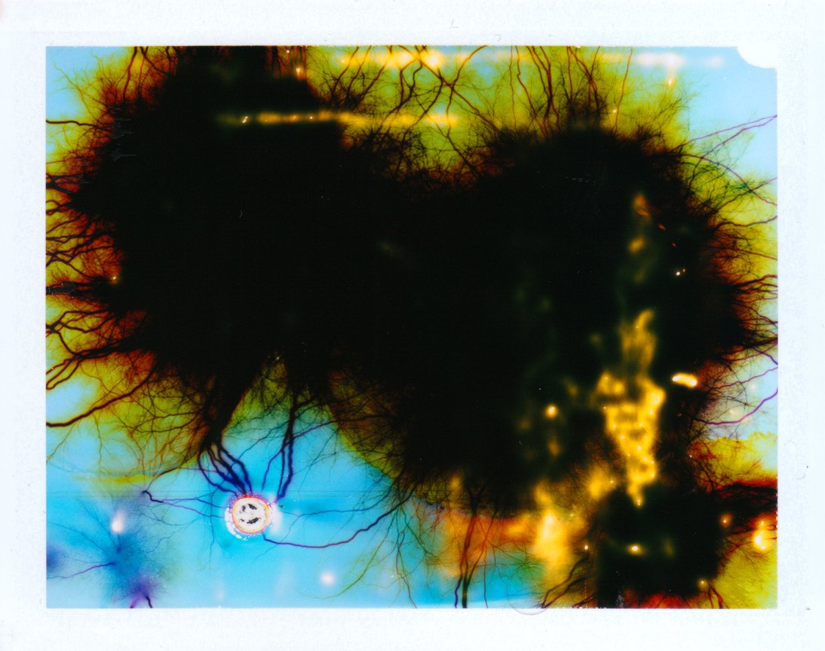 pixelform's tweet photo. High Voltage Image Making

1. HVIM 018 - FujiFilm FP-100C + 15K VAC
2. HVIM 005 - FujiFilm FP-100C + 15K VAC
3. HVIM 009 - FujiFilm FP-100C + 15K VAC

https://t.co/lzQEYhjyMC

#experimentalphotography #prints #instantfilm #fujifilm #colorfilm #phillipstearns https://t.co/IBDFAnogVA