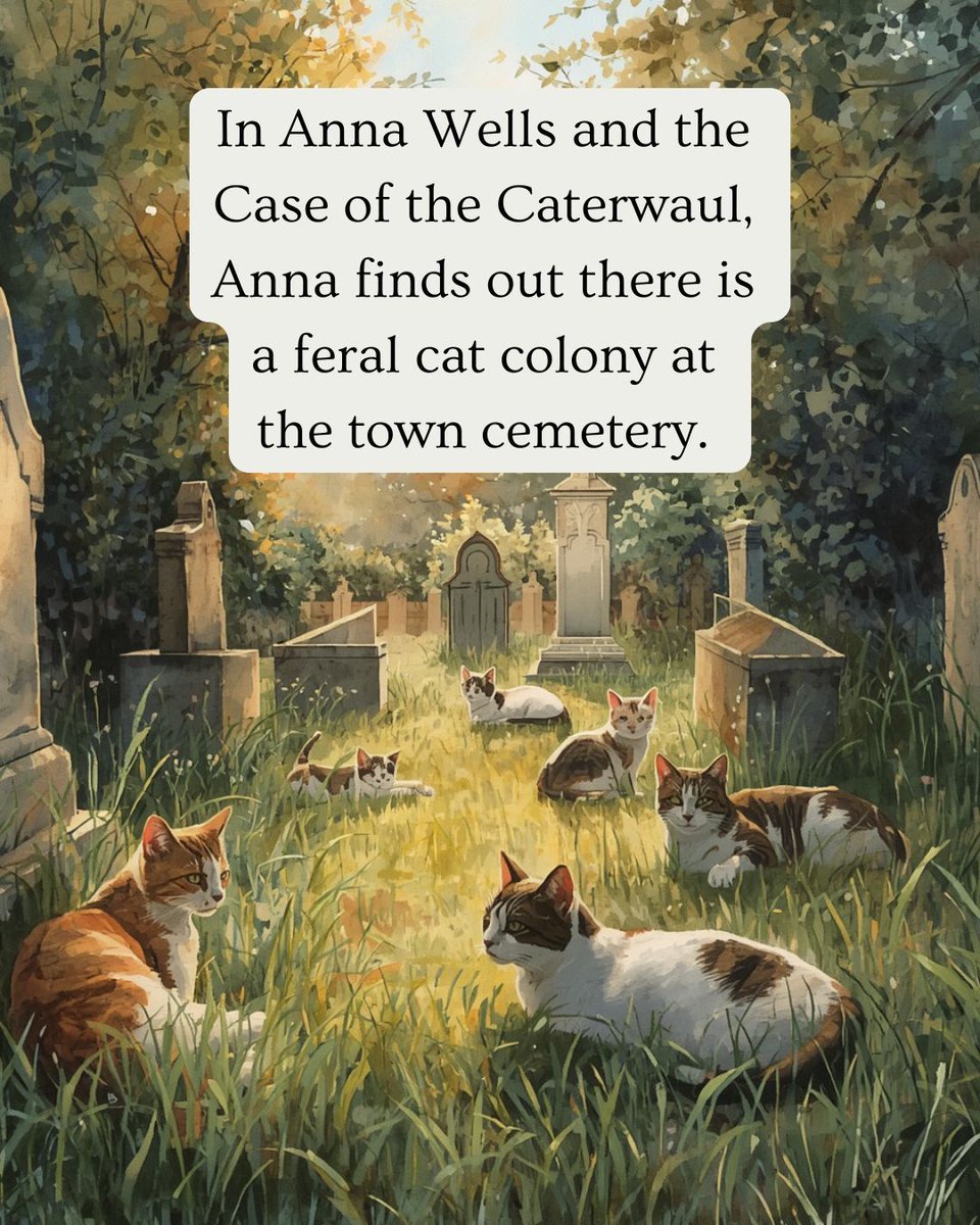 TerryRuthAuthor's tweet photo. Have you ever done any research on urban feral cats? It's shocking to see the stats...in 2019 it was estimated more than 17,000 stray cats lived in the Toronto! 
#cats #feralcats #catrescue #animaljusticeclub https://t.co/jMVs1umjOd