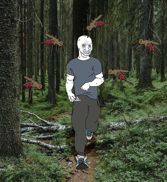 Waldhüterin 🌲🍄 tweet media