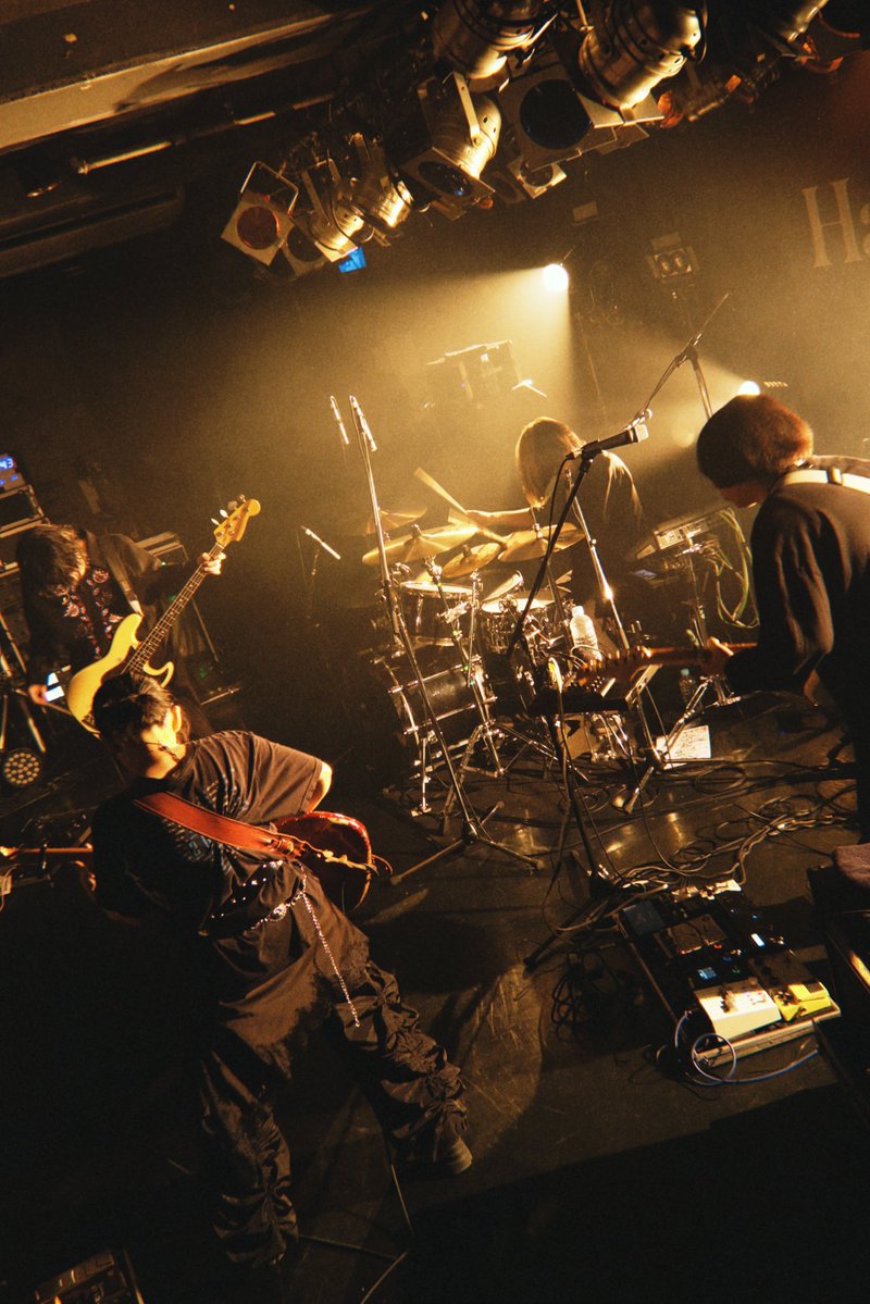 Hakubi tweet media