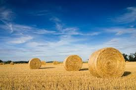 Merlin Philippe tweet media
