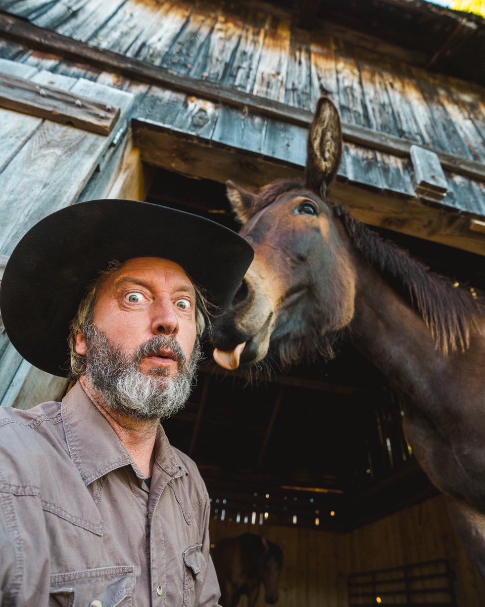 Tom Green tweet media
