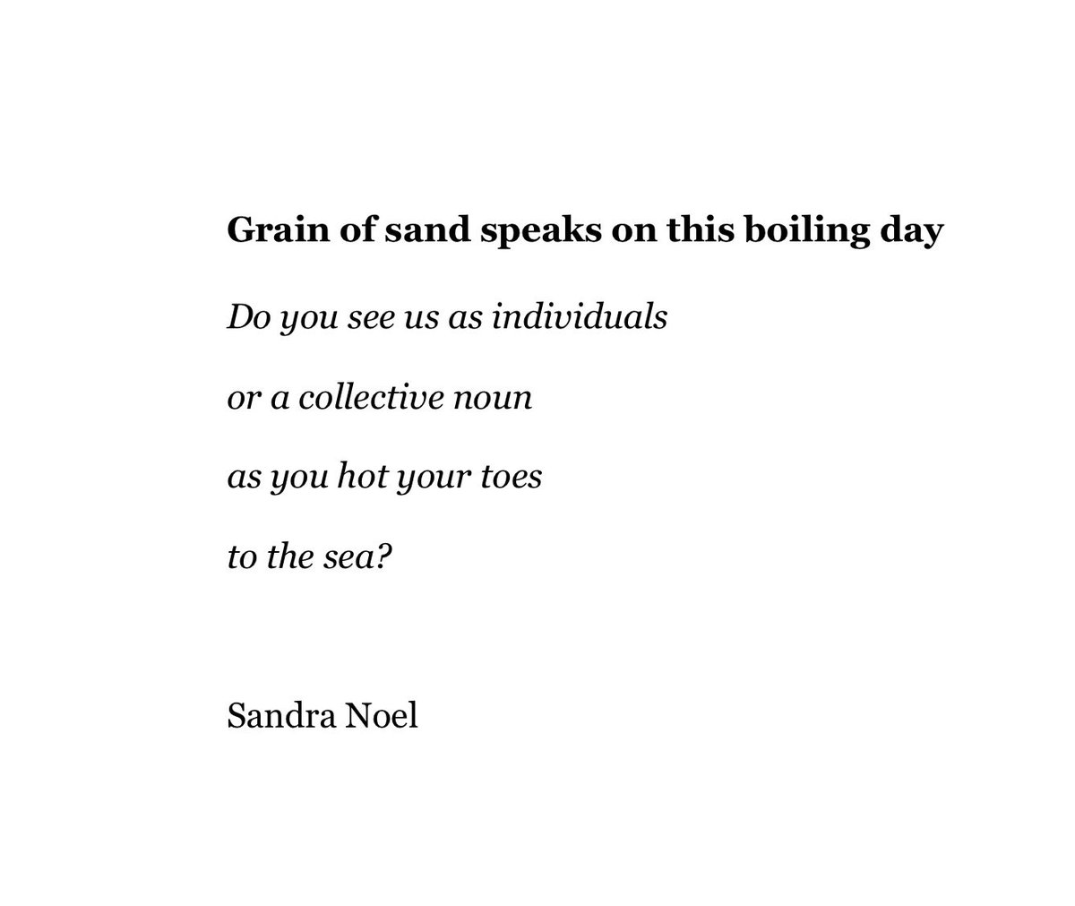 sandra noel tweet media