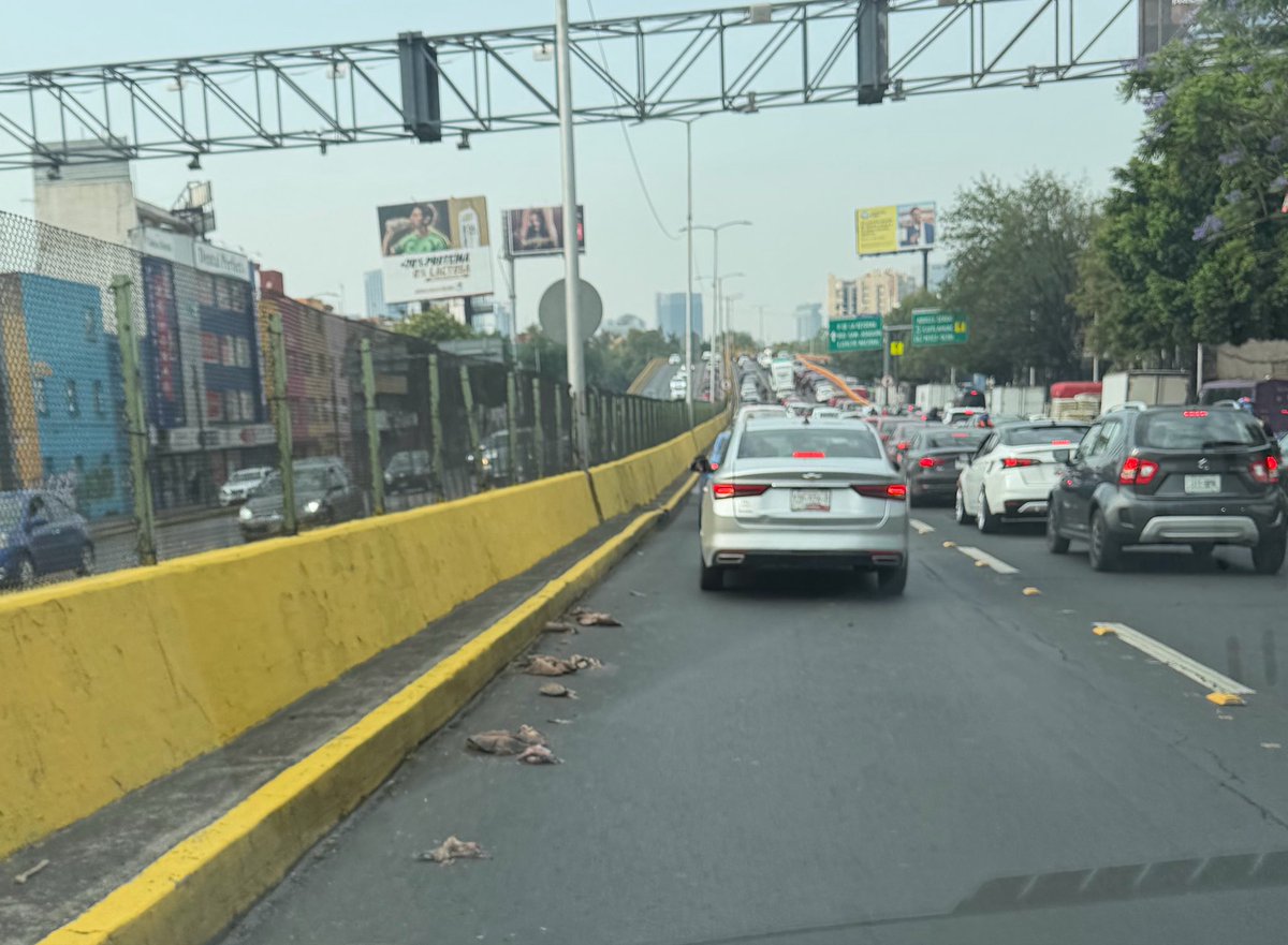 RenatoTrejo's tweet photo. Buen día, desde ayer hay unos restos de carne tirados en circuito interior casi al llegar a San Cosme dirección Marina Nacional en el carril de extrema izquierda @UCS_GCDMX https://t.co/GZAXBRkeDC