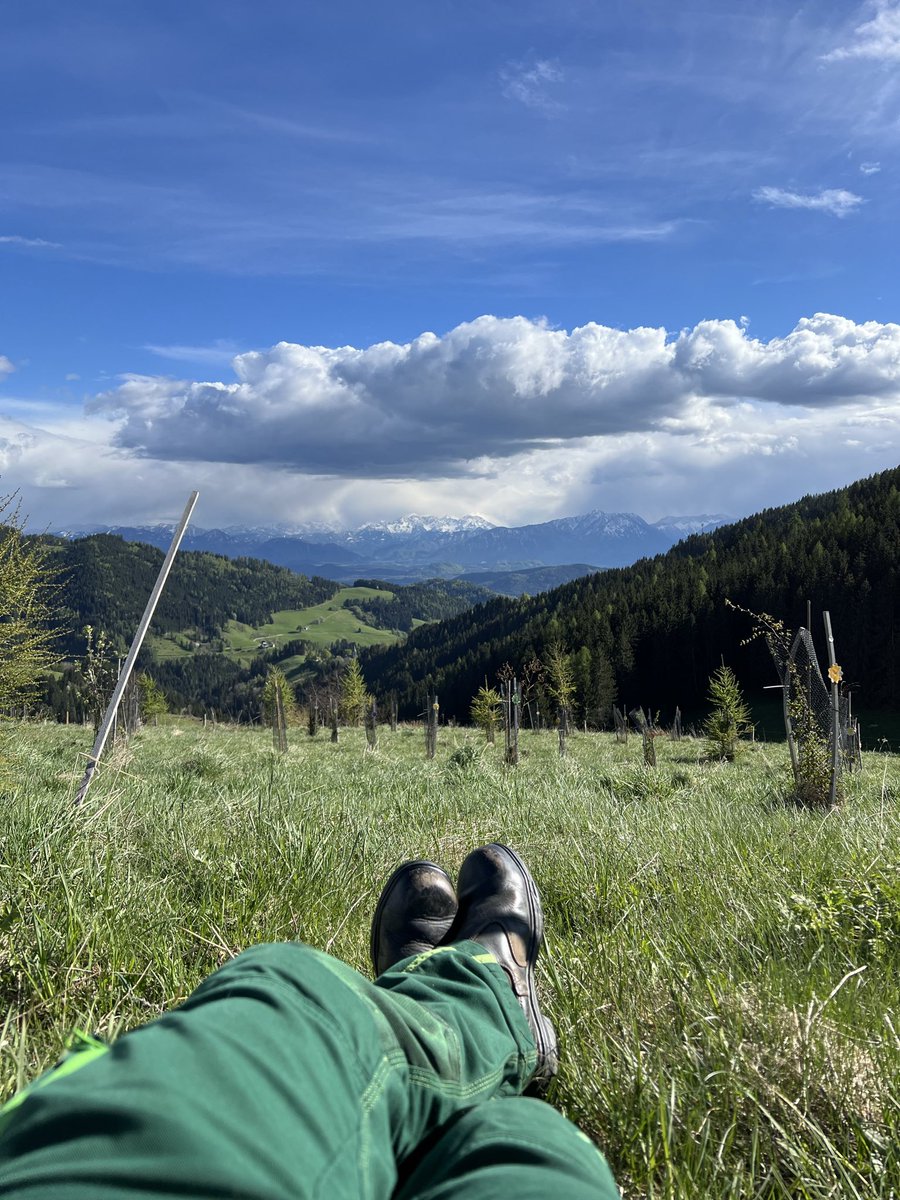Georg Waldmensch 🌳 tweet media