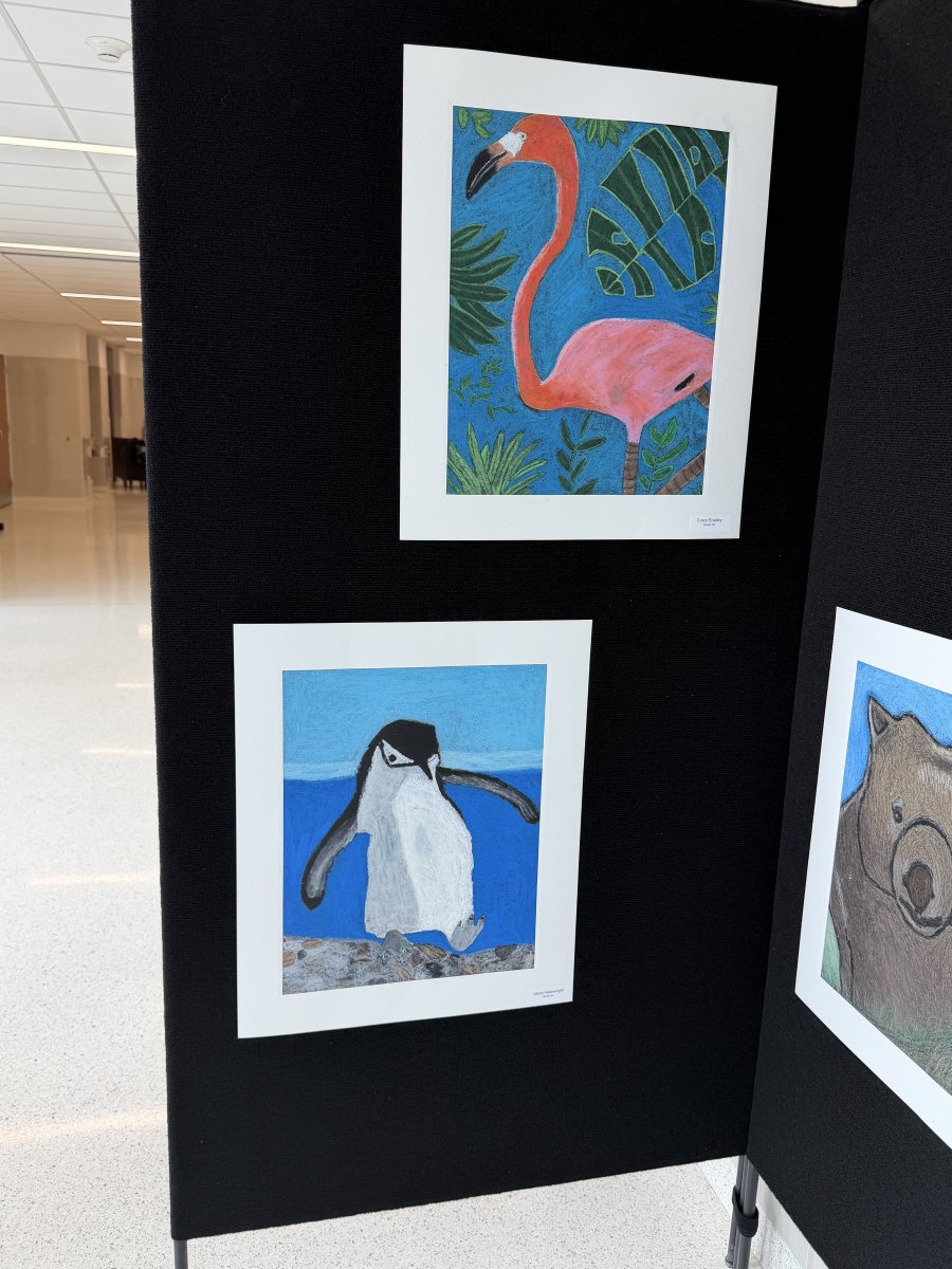 SpringfieldSD's tweet photo. Springfield High School celebrated creativity and talent at its annual Celebration of the Arts this past week! #PrideInAllThings https://t.co/B5HnA8pYXu