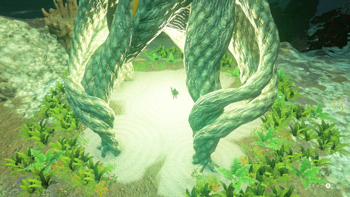 kumaco@Hyrule tweet media