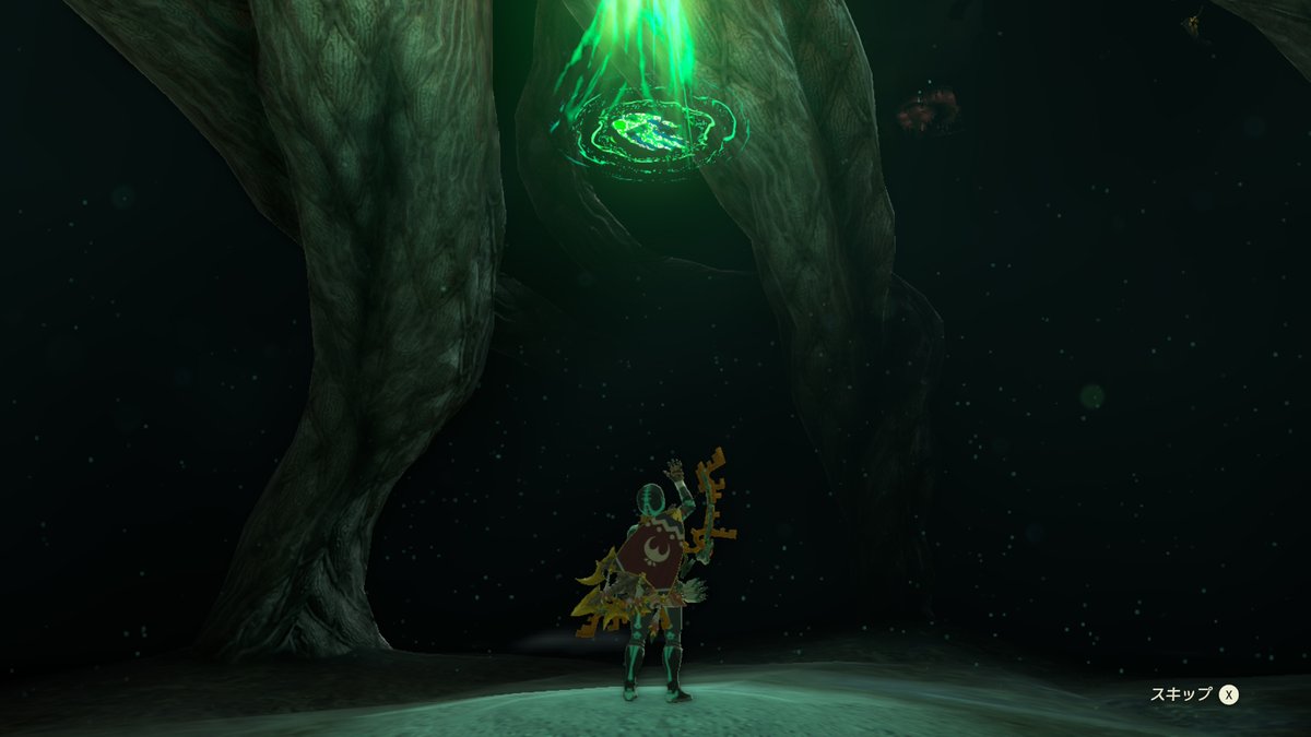 kumaco@Hyrule tweet media