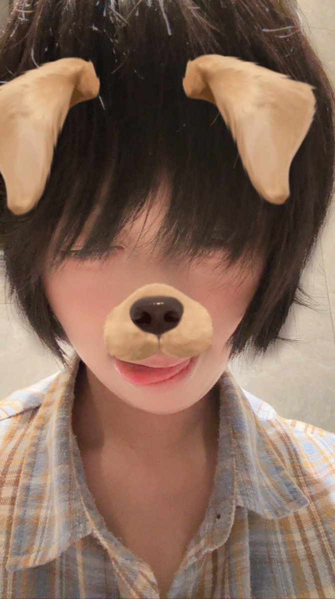 枫叶🍥 tweet media