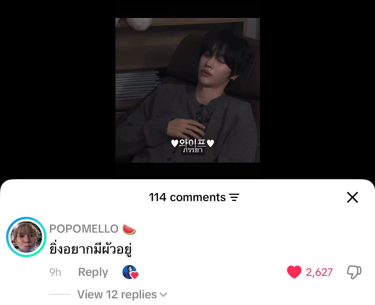 빛별비니🌟 tweet media