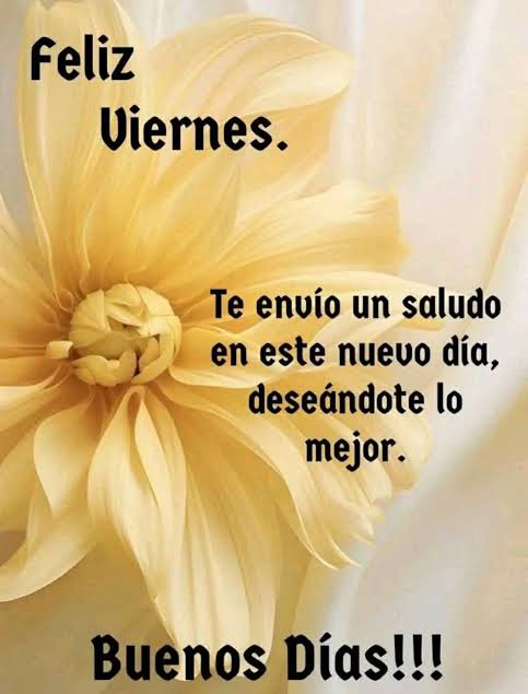 Baltazar Lopez tweet media