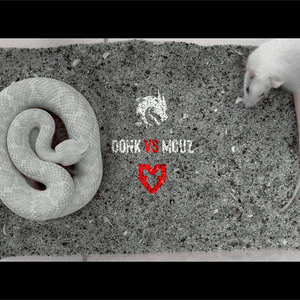 Sm0keyCS2's tweet photo. @mousesports https://t.co/KMDUPtj1Ar