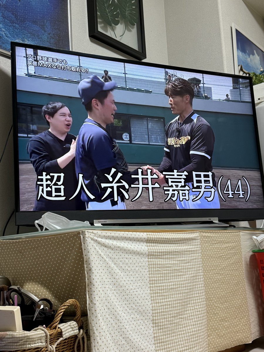 うめっこ(🦍の姿) tweet media