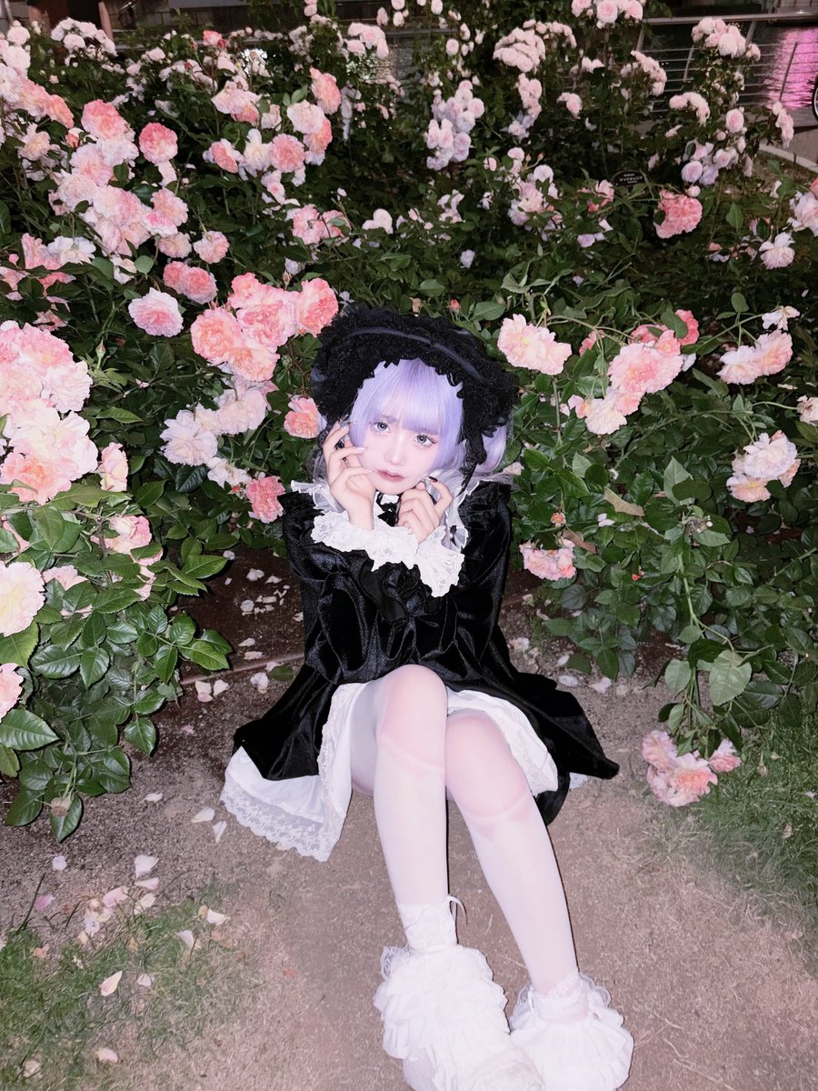 狐宵 メリィ 【AZ-ON】 tweet media