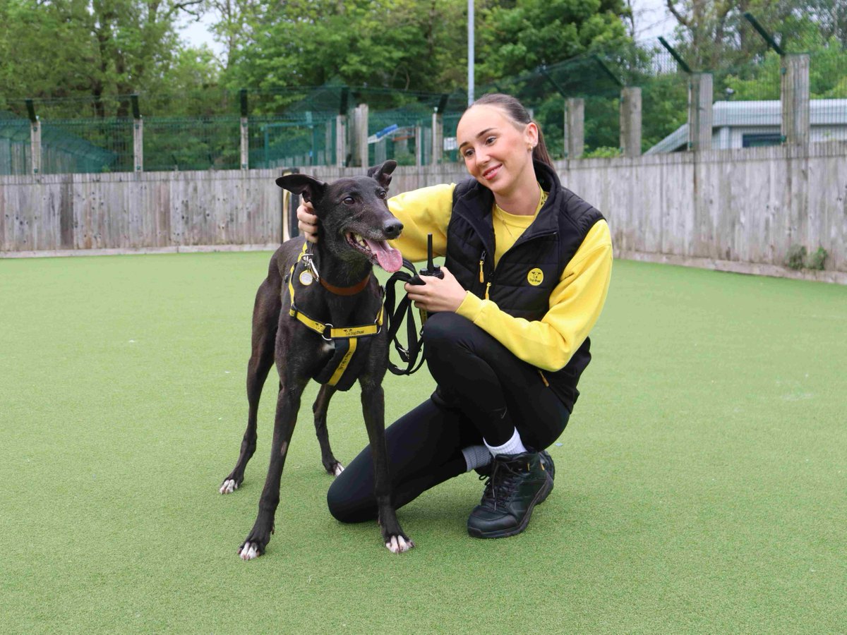 Dogs Trust Glasgow tweet media
